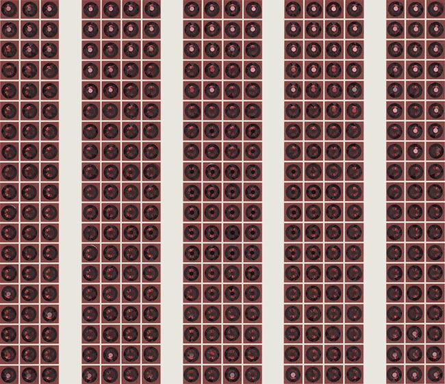 Venetian Red - Vertical - crystal art by Julia Roshkow